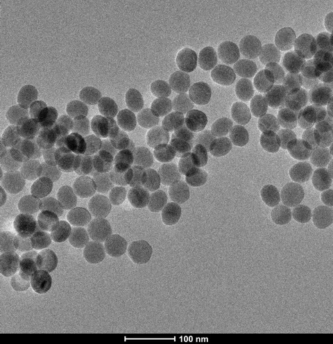Electron micrograph of uniform 40 nanometer crystals